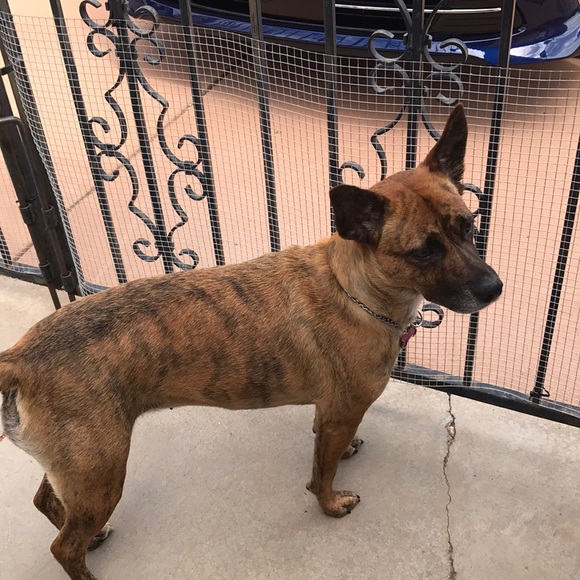 Meet your Posher, Aaron - Picture 1 of 1